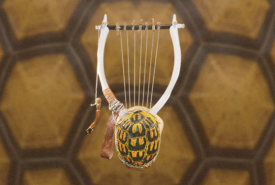 Chelys Lyra VST plugin interface preview